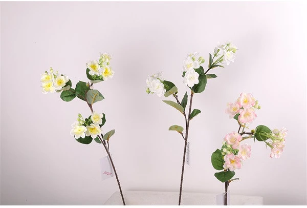 Qx 501211 nagyítás