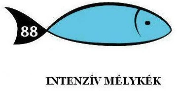 Rainbow 88042780 nagyítás