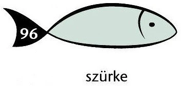 Rainbow 88042824 nagyítás