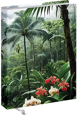 Realsystem 23.0821402 nagyítás