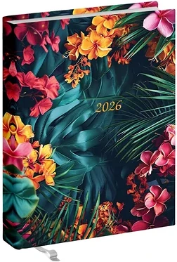 Realsystem 23.0821406 nagyítás