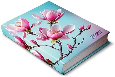 Realsystem 23.090373 nagyítás