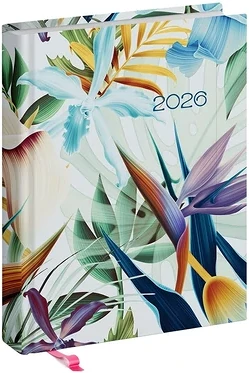 Realsystem 23.090376 nagyítás