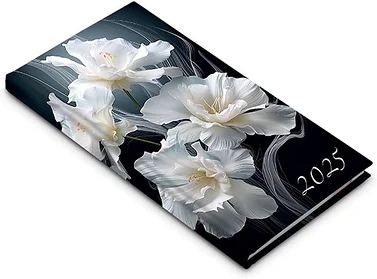 Realsystem 23.090537 nagyítás