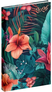 Realsystem 23.090552 nagyítás