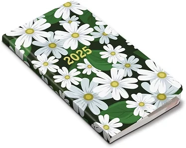 Realsystem 23.09246 nagyítás