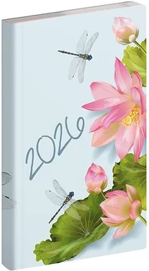 Realsystem 23.09247 nagyítás