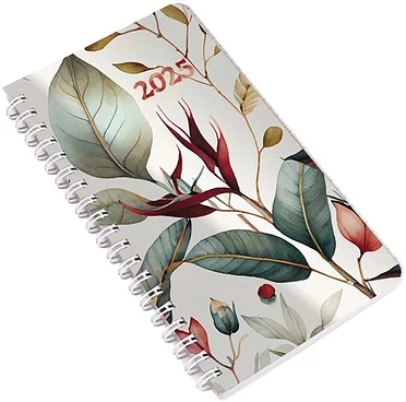 Realsystem 23.09268 nagyítás