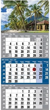 Realsystem 23.09421 nagyítás