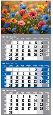 Realsystem 23.09425 nagyítás