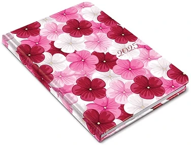 Realsystem 23.0952106 nagyítás