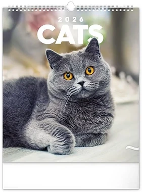 Realsystem 23.09824 nagyítás