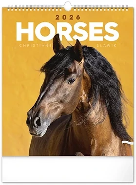 Realsystem 23.09830 nagyítás