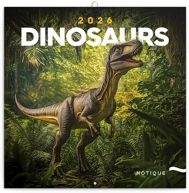 Realsystem 23.09844 nagyítás