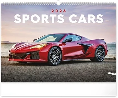 Realsystem 23.09851 nagyítás