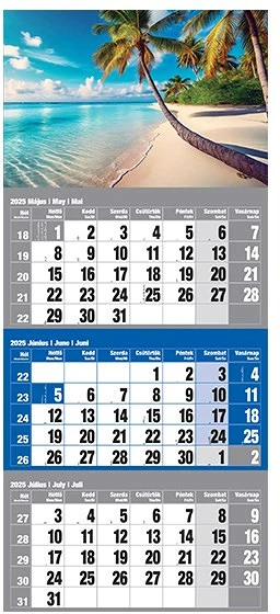 Realsystem 6061-43 nagyítás