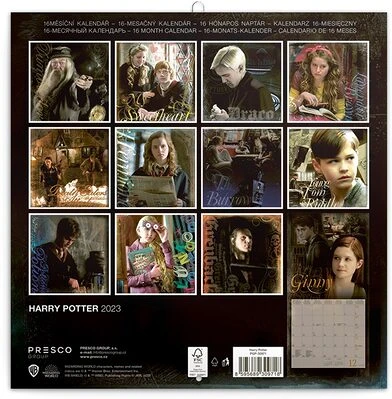 Realsystem 6096 nagyítás