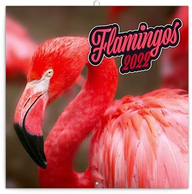 Realsystem 6097 nagyítás