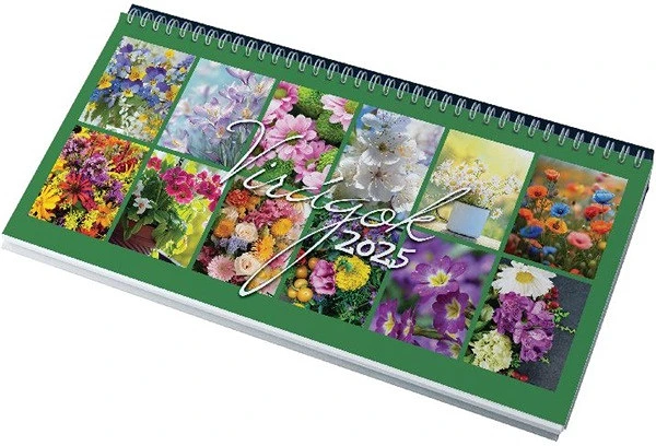 Realsystem 7981-99 nagyítás