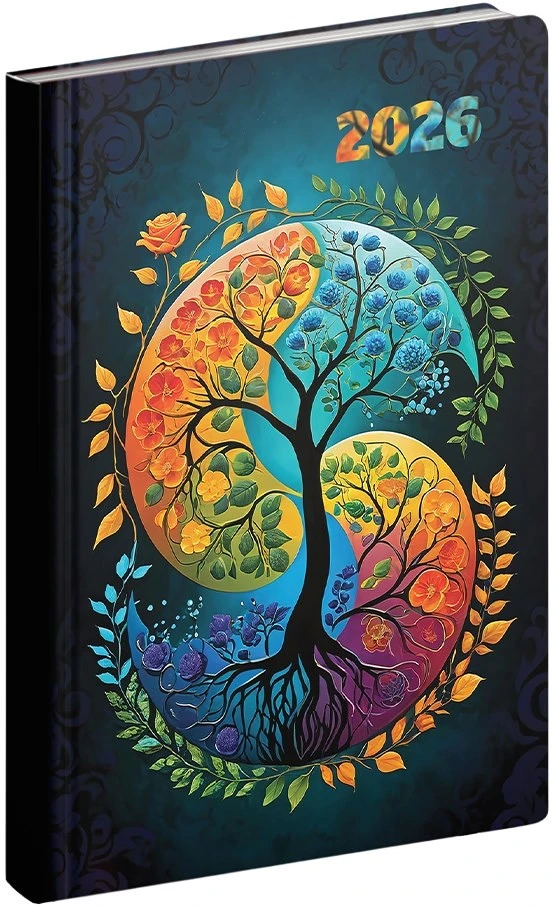 Realsystem JINJANG 2026 nagyítás