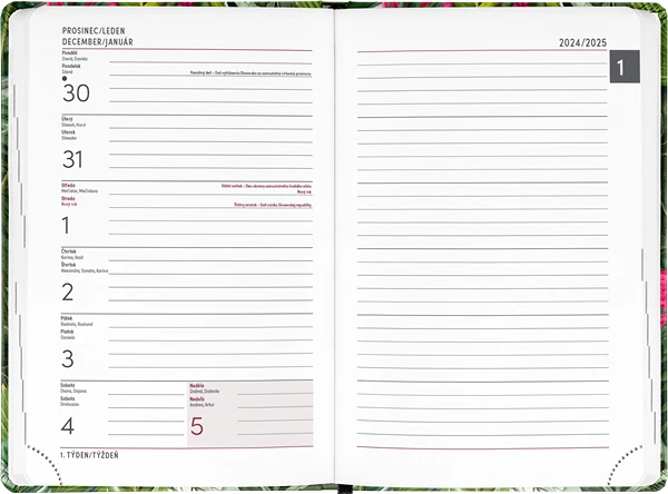 Realsystem PGD-33839-V nagyítás