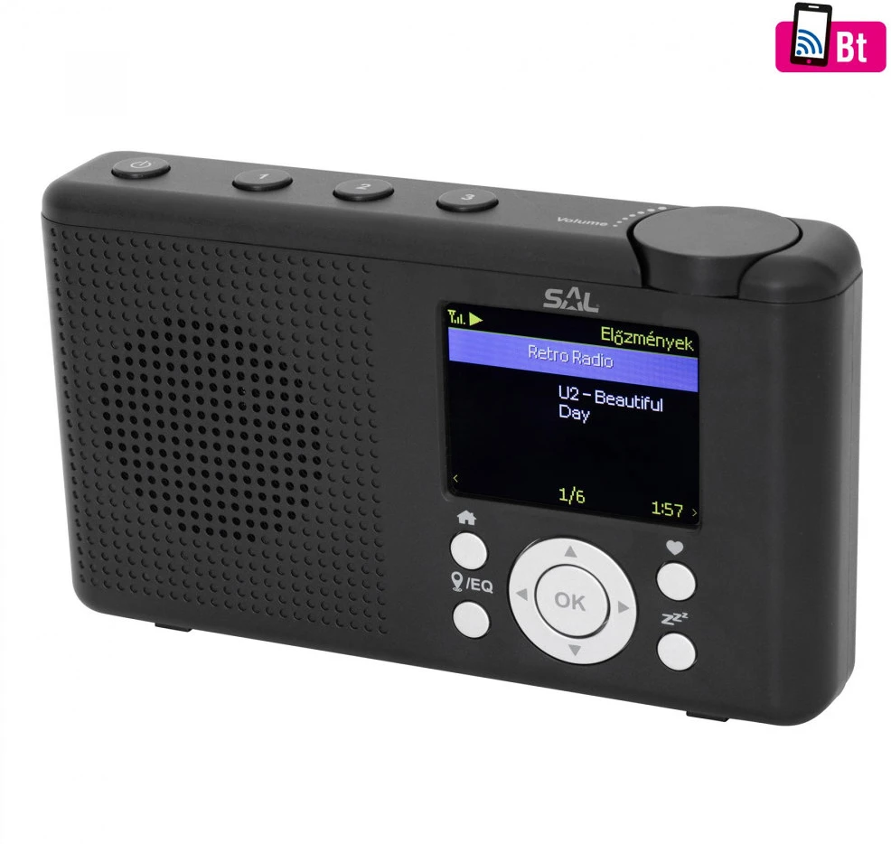 Sal INR_3000-1 nagyítás