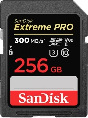 Sandisk SDSDXDK-256G-GN4IN nagyítás