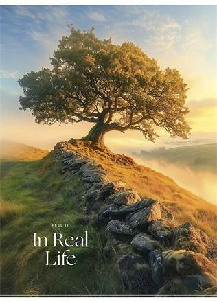 Shkolyaryk A4-040-5249K nagyítás