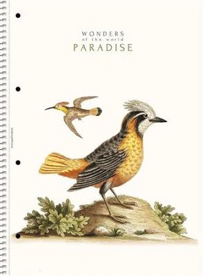 Shkolyaryk COR_SB80991L nagyítás