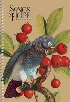 Shkolyaryk COR_SB966123 nagyítás