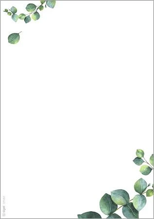 Sigel DP682 nagyítás