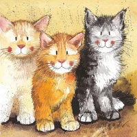 Alex clark AC323 Képeslap  borítékkal, 14x14 cm, 3 cica kép