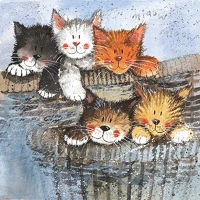Alex clark AC349 Képeslap  borítékkal, 14x14 cm, kiscicák kép