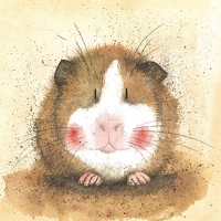 Alex clark AC412 Képeslap  borítékkal, 14x14 cm, gilbert hörcsög kép