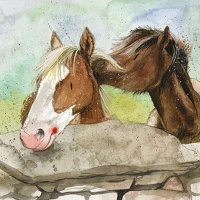 Alex clark AC666 Képeslap  borítékkal, 14x14 cm, 2 ló kép