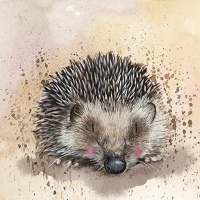 Alex clark AC669 Képeslap  borítékkal, 14x14 cm, süni kép