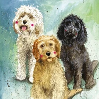 Alex clark AC745 Képeslap  borítékkal, 14x14 cm, 3 kutya kép