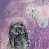 Alex clark AC800 Képeslap  borítékkal, 14x14 cm, misty nyuszi kép