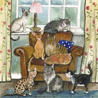 Alex clark AC809 Képeslap  borítékkal, 14x14 cm, cicák kép