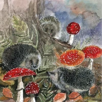 Alex clark AC843 Képeslap  borítékkal, 14x14 cm, sünik gombával kép