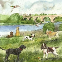 Alex clark AC888 Képeslap  borítékkal, 14x14 cm, folyópart kutyákkal kép