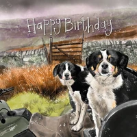 Alex clark AC890 Képeslap  borítékkal, 14x14 cm, border collie hb kép