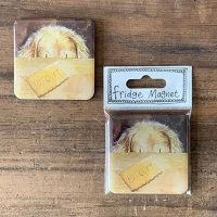 Alex clark FM227 Hűtőmágnes , 6x6 cm, keksz kép