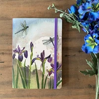 Alex clark LCN31 Füzet , vonalas, 21x15cm, 160 oldal, gumis, szitakötők kép