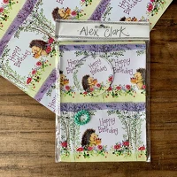 Alex clark SGW12 Csomagolópapír , 50x70cm, 2 lap csomagonként, ajándék kísérővel, süni hbd kép