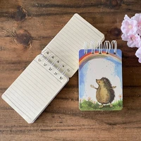 Alex clark SSN55 Jegyzetfüzet , vonalas, 10,5x7,5 cm,spirálos, 112 oldal,süni szivárvánnyal kép