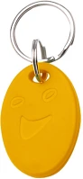 Am H50113356 S.  keytag no.5 125 khz sárga kép