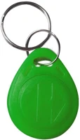Am H50113539 S.  keytag no.2 125 khz zöld kép