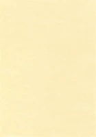 Apli COR_LCA11958U Előnyomott papír, a4, 95 g, pergamen hatású, pezsgő kép
