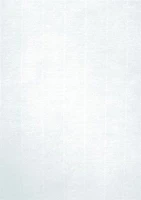 Apli COR_LCA12130 Előnyomott papír, a4, 220 g, törtfehér kép